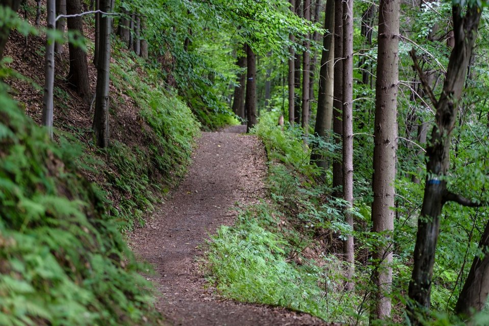 randonnée VTT en Creuse, randonnée en Creuse