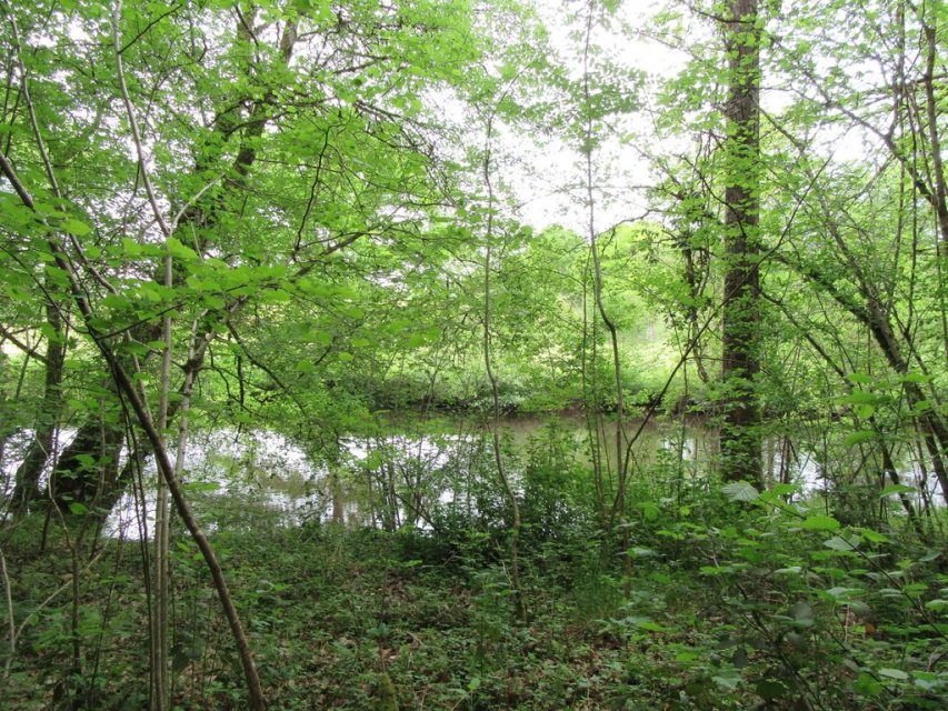 Randonnée Creuse - Randonnée Limousin